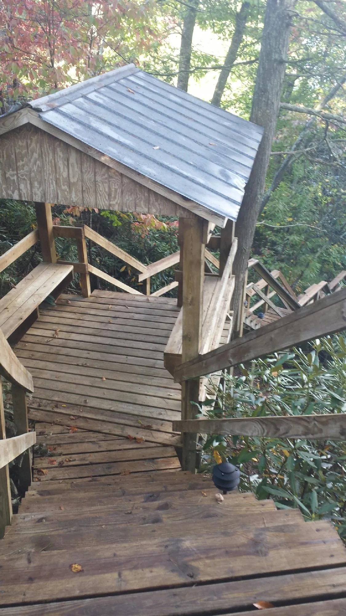 Metal roofed shelter over wooden steps on a wooded walkway — Skylight Repair & Installation work by our crew in Lilliwaup
